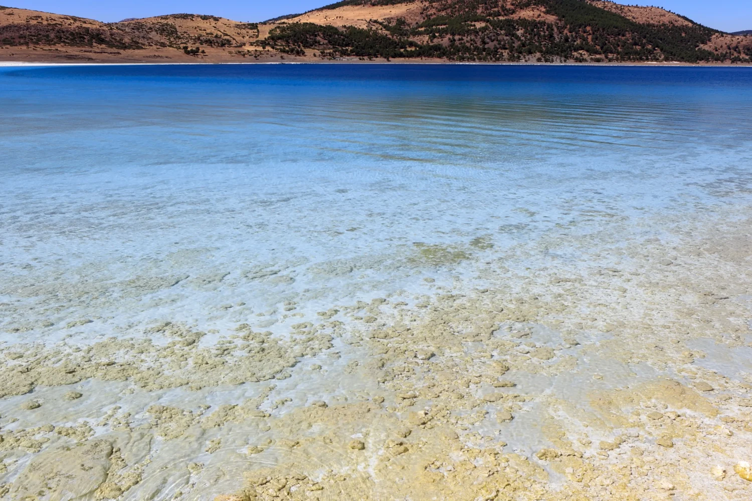 Salda Lake Tour